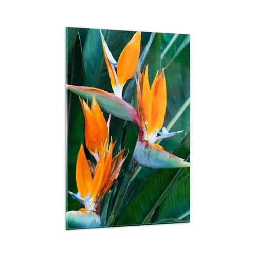 Obraz na skle - Je to květina, nebo pták? - 80x120 cm