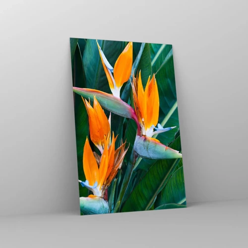 Obraz na skle - Je to květina, nebo pták? - 80x120 cm