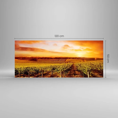 Obraz na skle - Jemně ovocné s tónem slunce - 120x50 cm