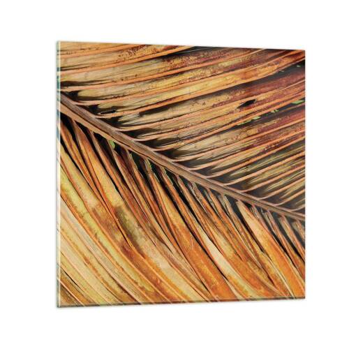 Obraz na skle - Kokosové zlato - 60x60 cm