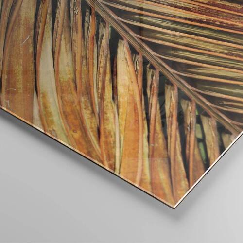 Obraz na skle - Kokosové zlato - 70x70 cm