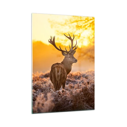 Obraz na skle - Král podzimního lesa - 50x70 cm