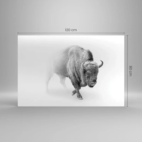 Obraz na skle - Král prérie - 120x80 cm