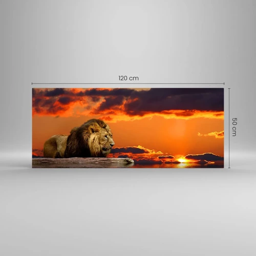 Obraz na skle - Král přírody - 120x50 cm