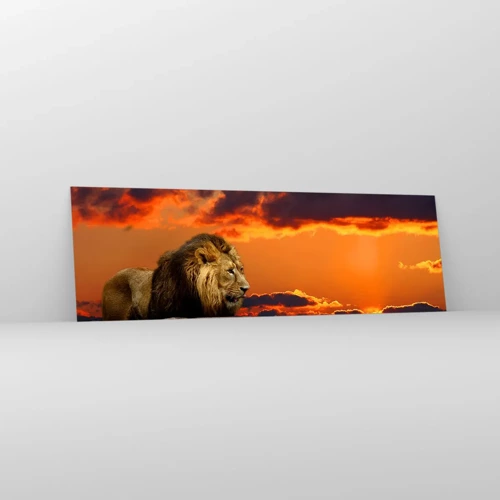 Obraz na skle - Král přírody - 160x50 cm