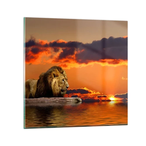 Obraz na skle - Král přírody - 40x40 cm