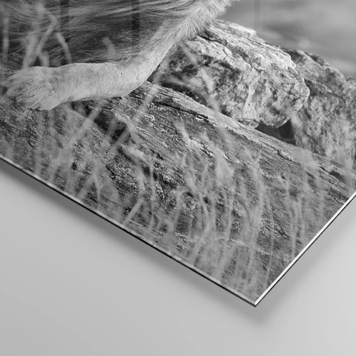 Obraz na skle - Královská siesta - 30x30 cm