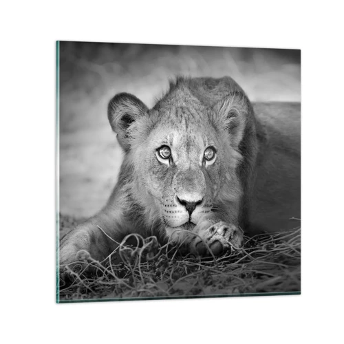 Obraz na skle - Královské štěně - 30x30 cm