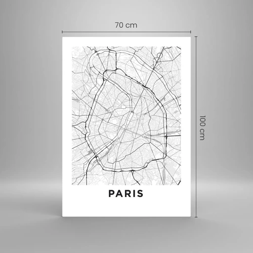 Obraz na skle - Květ Paříže - 70x100 cm