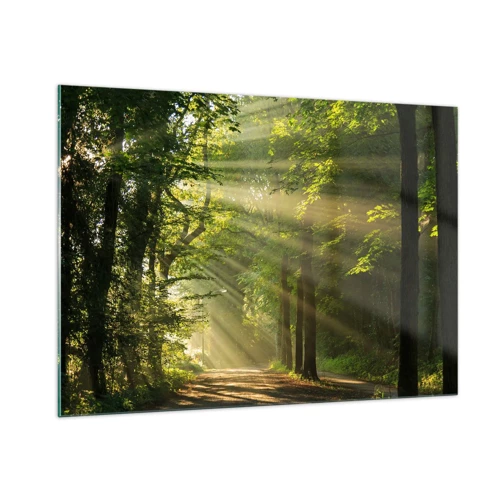 Obraz na skle - Lesní okamžik - 100x70 cm