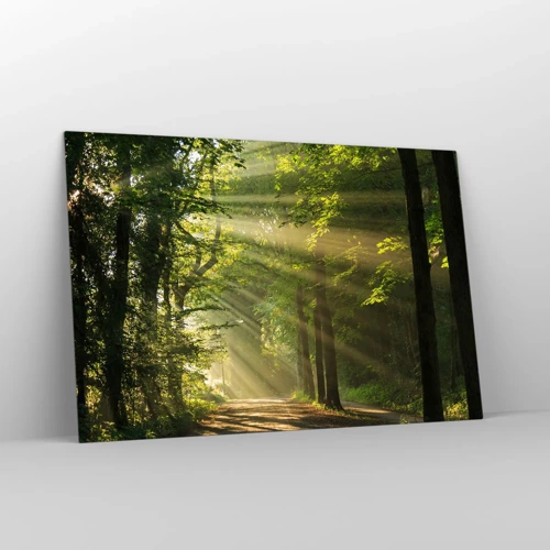 Obraz na skle - Lesní okamžik - 120x80 cm