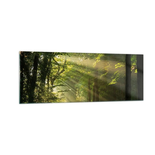 Obraz na skle - Lesní okamžik - 140x50 cm