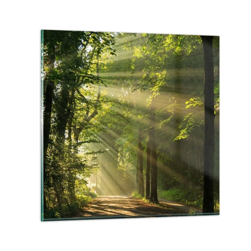 Obraz na skle - Lesní okamžik - 50x50 cm