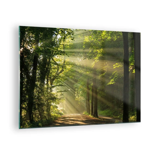 Obraz na skle - Lesní okamžik - 70x50 cm