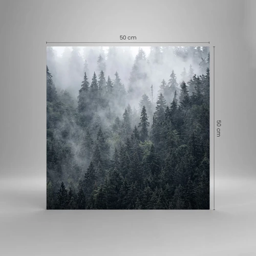 Obraz na skle - Lesní svítání - 50x50 cm