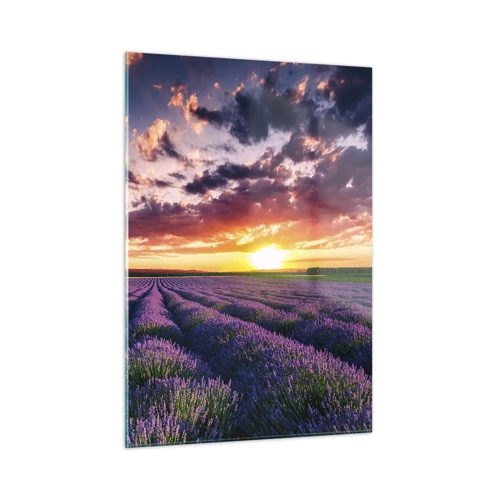 Obraz na skle - Levandulový svět - 50x70 cm