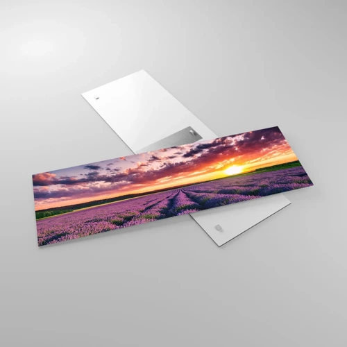 Obraz na skle - Levandulový svět - 90x30 cm