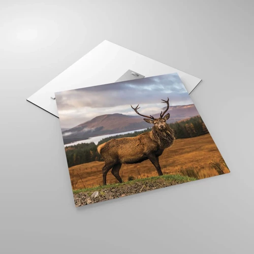 Obraz na skle - Majestát přírody - 50x50 cm