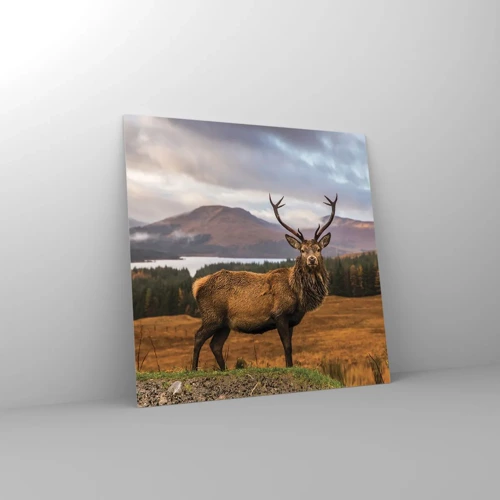 Obraz na skle - Majestát přírody - 50x50 cm