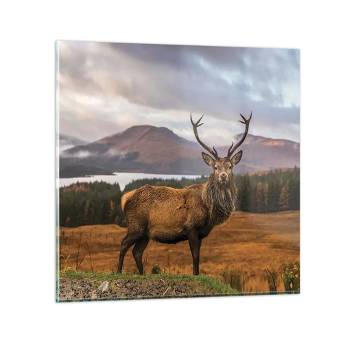 Obraz na skle - Majestát přírody - 60x60 cm