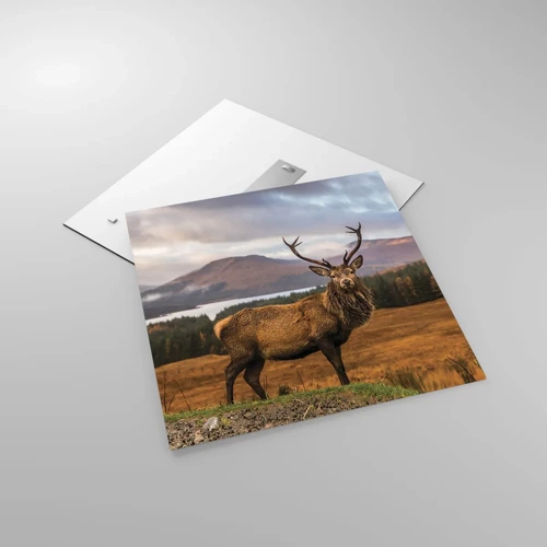 Obraz na skle - Majestát přírody - 60x60 cm