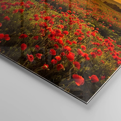 Obraz na skle - Mezi vlnami šumících luk, mezi záplavou květů - 70x70 cm
