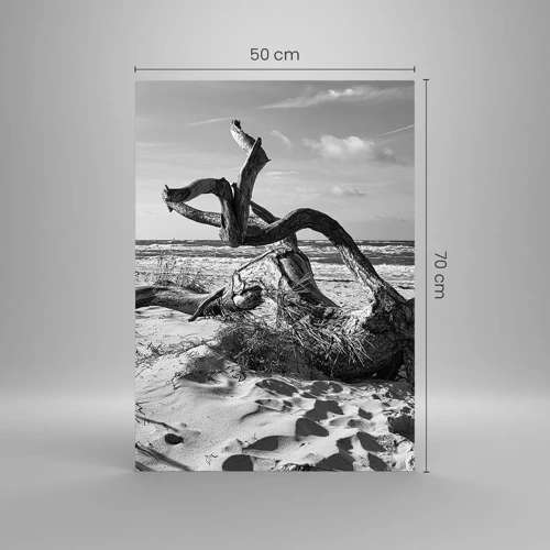 Obraz na skle - Mořská socha - 50x70 cm