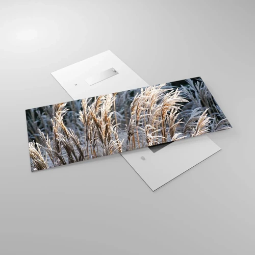 Obraz na skle - Mrazem pokryté - 120x50 cm