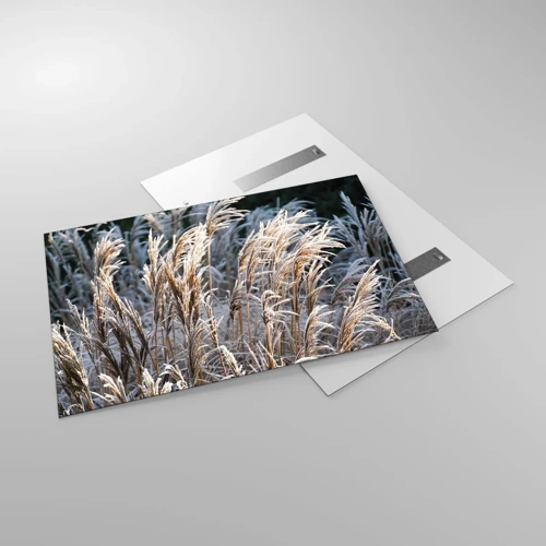 Obraz na skle - Mrazem pokryté - 120x80 cm