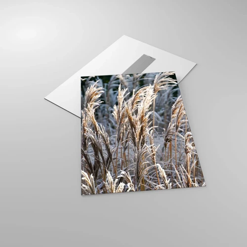 Obraz na skle - Mrazem pokryté - 50x70 cm