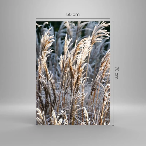 Obraz na skle - Mrazem pokryté - 50x70 cm