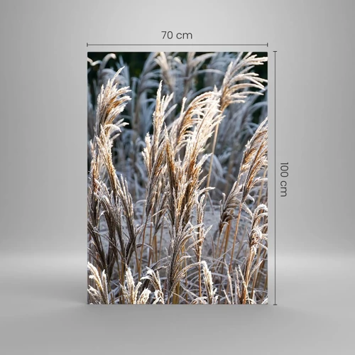 Obraz na skle - Mrazem pokryté - 70x100 cm