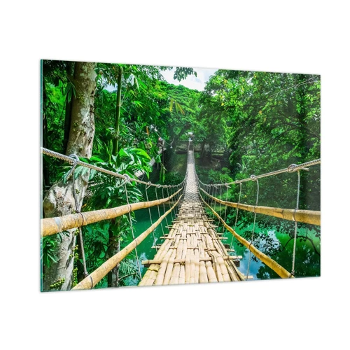Obraz na skle - Opičí most nad zelení - 100x70 cm