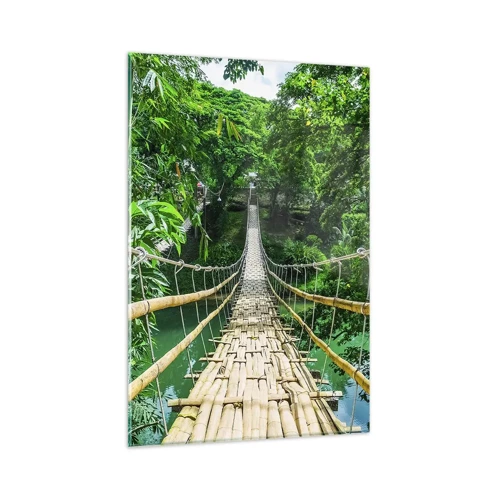 Obraz na skle - Opičí most nad zelení - 80x120 cm