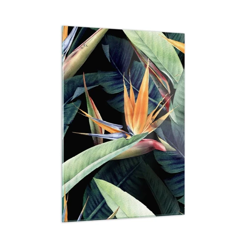 Obraz na skle - Plamenné květy tropů - 50x70 cm