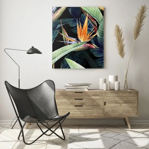 Obraz na skle - Plamenné květy tropů - 50x70 cm