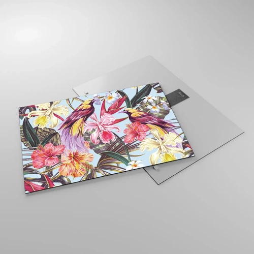 Obraz na skle - Plátky a pírka - 70x50 cm