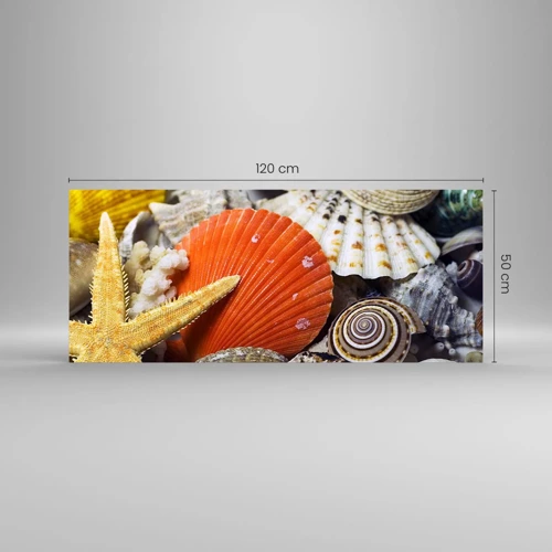 Obraz na skle - Poklady oceánu - 120x50 cm