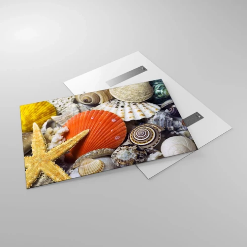 Obraz na skle - Poklady oceánu - 120x80 cm