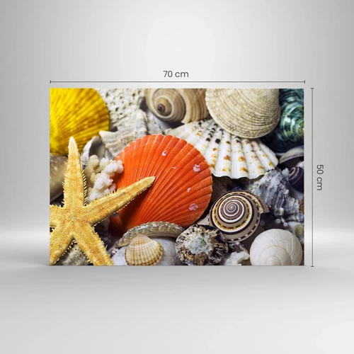 Obraz na skle - Poklady oceánu - 70x50 cm