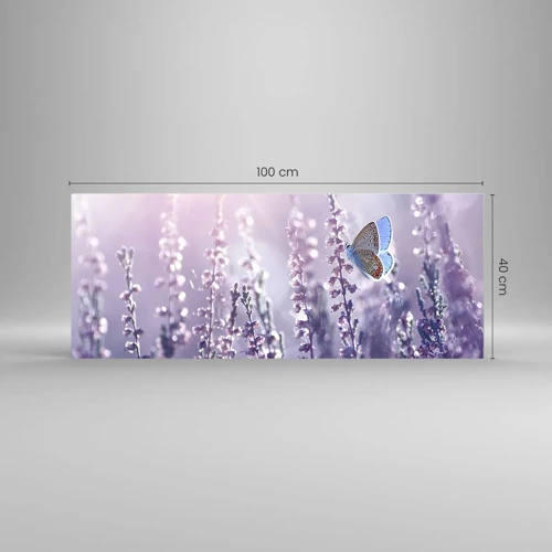 Obraz na skle - Polibek motýla - 100x40 cm