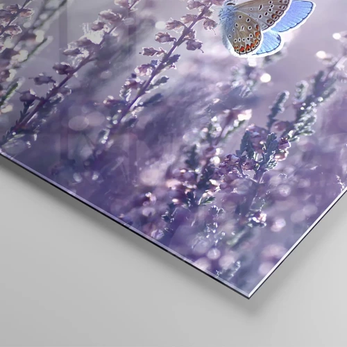 Obraz na skle - Polibek motýla - 100x40 cm