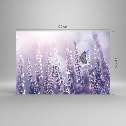 Obraz na skle - Polibek motýla - 120x80 cm