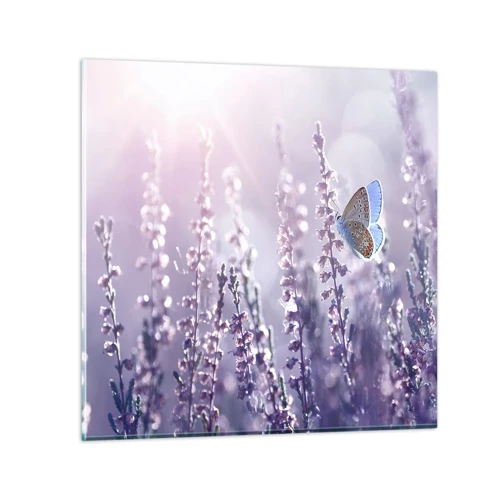 Obraz na skle - Polibek motýla - 30x30 cm