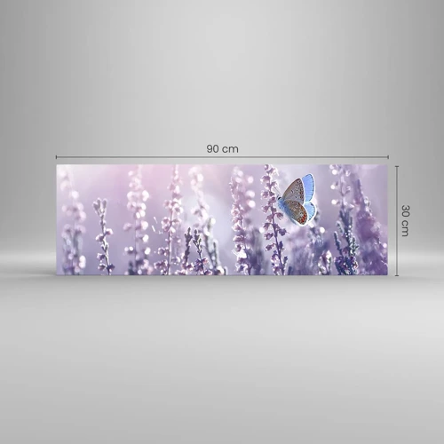 Obraz na skle - Polibek motýla - 90x30 cm