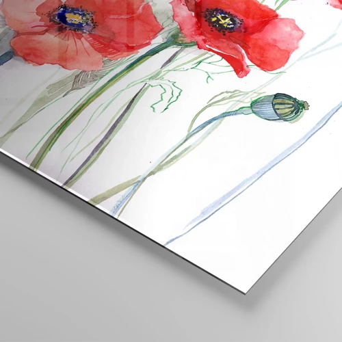 Obraz na skle - Polské květiny - 100x40 cm