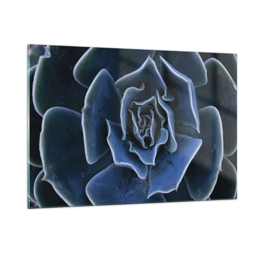 Obraz na skle - Pouštní květ - 120x80 cm