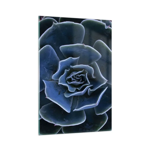 Obraz na skle - Pouštní květ - 80x120 cm