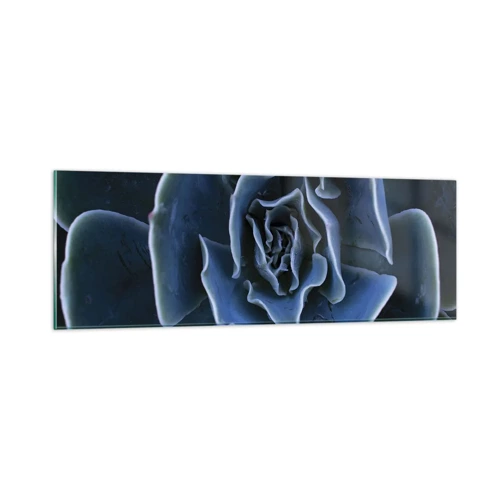 Obraz na skle - Pouštní květ - 90x30 cm