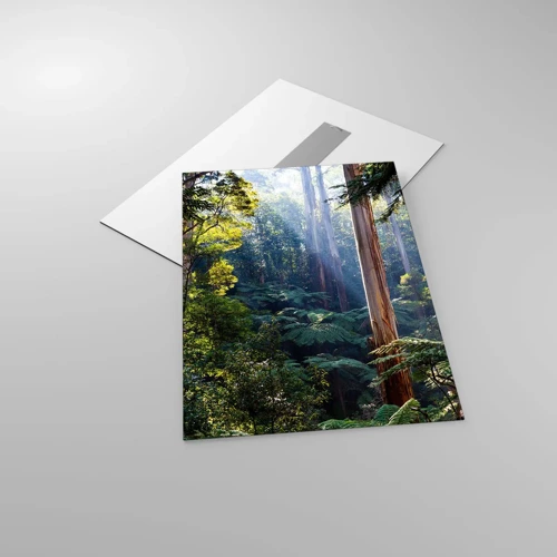 Obraz na skle - Povídka lesa - 50x70 cm